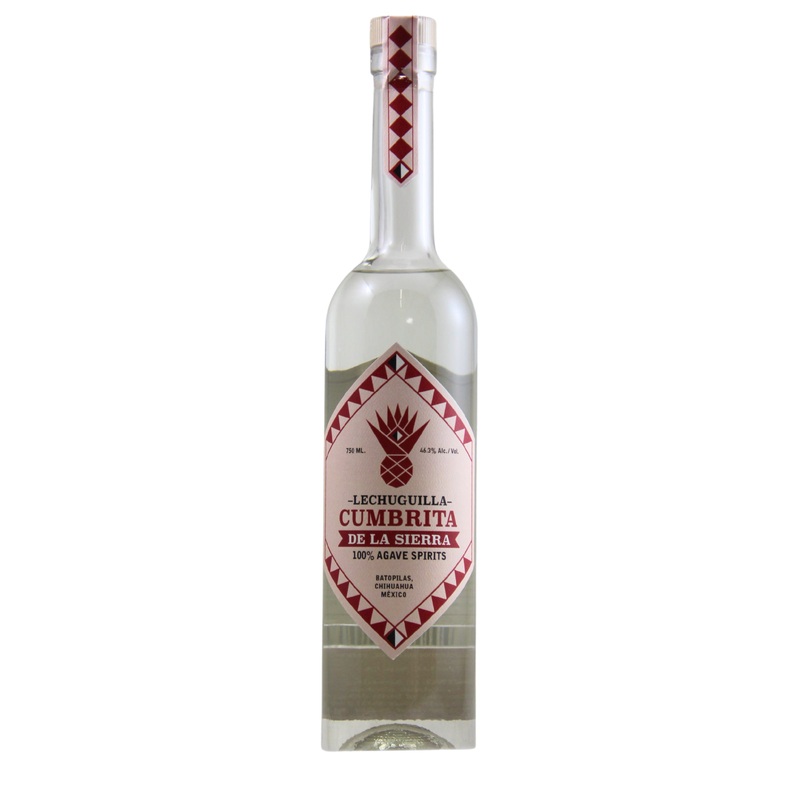 Lechuguilla Cumbrita De La Sierra Chihuahua Agave Spirit