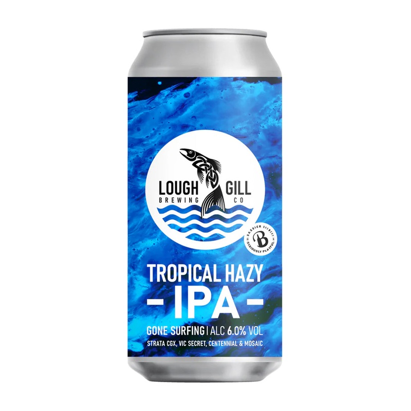 Lough Gill Gone surfing 44cl